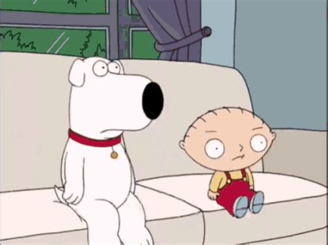 family guy meme gif|Family Guy Gif GIFs